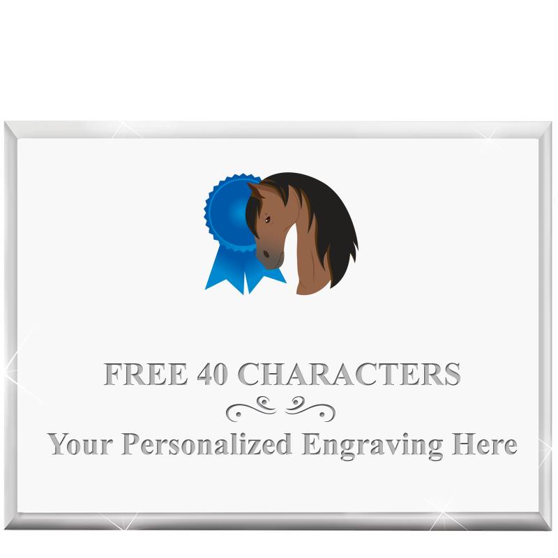 4"x3"HORIZONTAL DISPLAY ACRYL