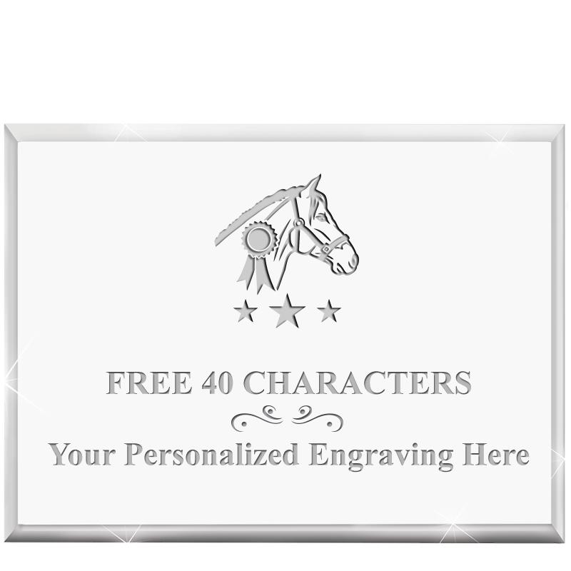 4"x3"HORIZONTAL DISPLAY ACRYL