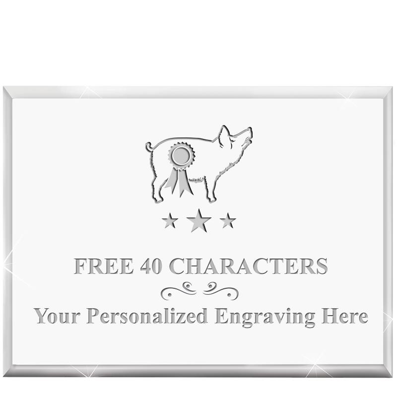 4"x3"HORIZONTAL DISPLAY ACRYL