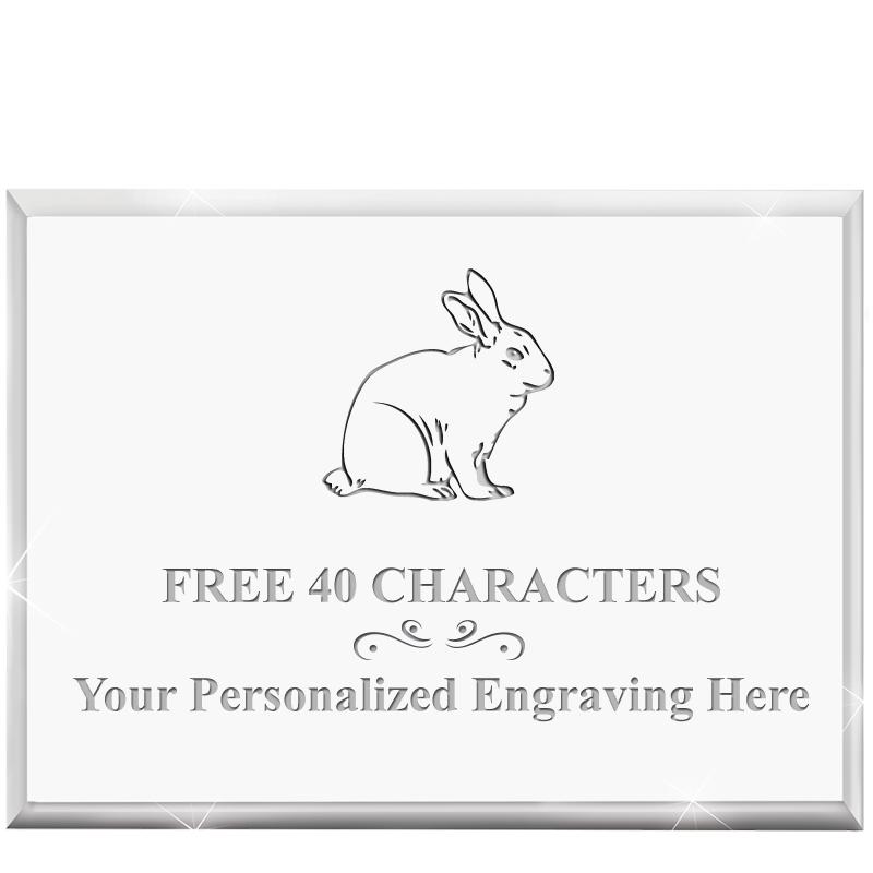 4"x3"HORIZONTAL DISPLAY ACRYL