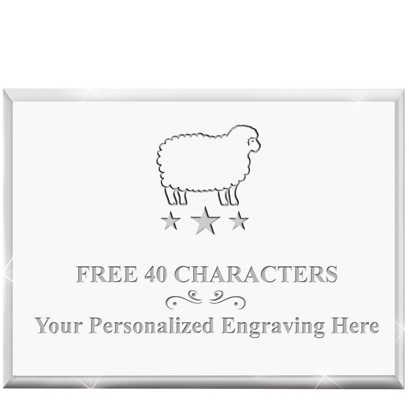 4"x3"HORIZONTAL DISPLAY ACRYL