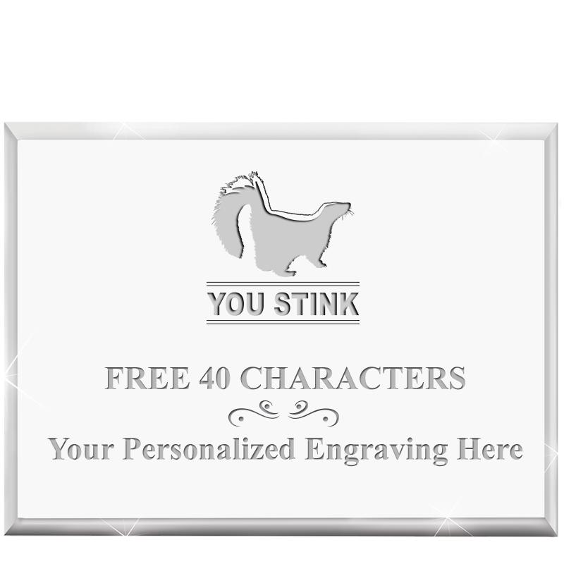 4"x3"HORIZONTAL DISPLAY ACRYL