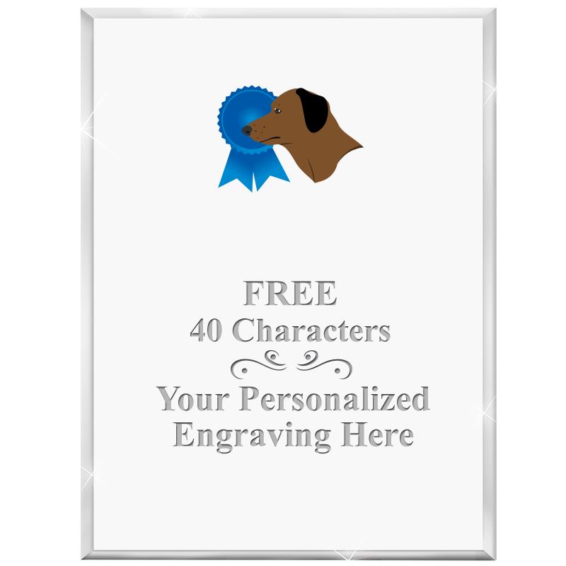 3" X 4" VERTICAL DISPLAY ACRYL