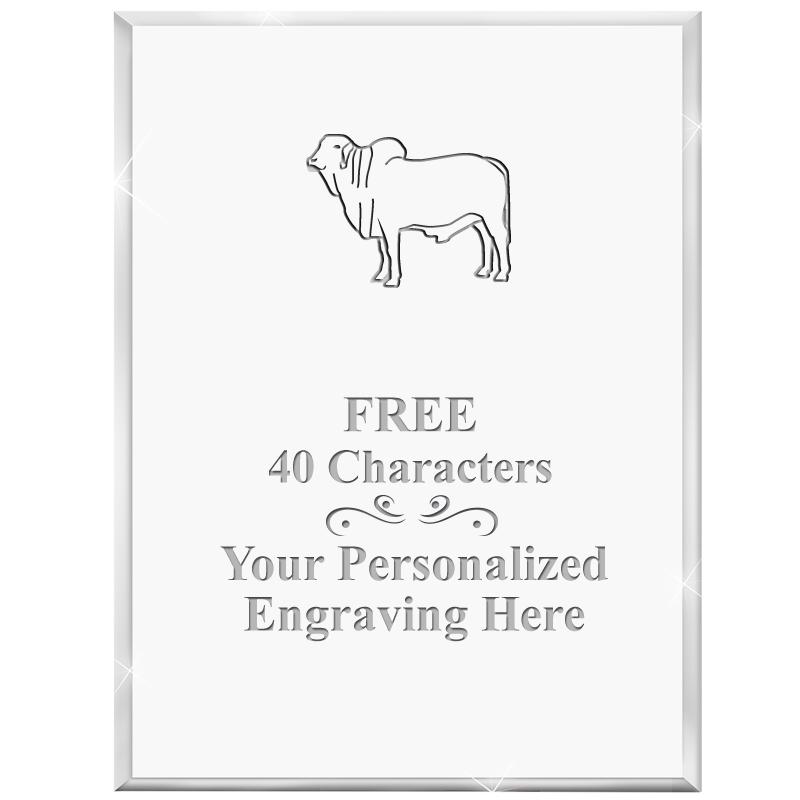 3" X 4" VERTICAL DISPLAY ACRYL