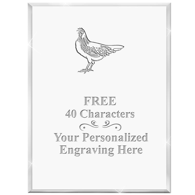 3" X 4" VERTICAL DISPLAY ACRYL