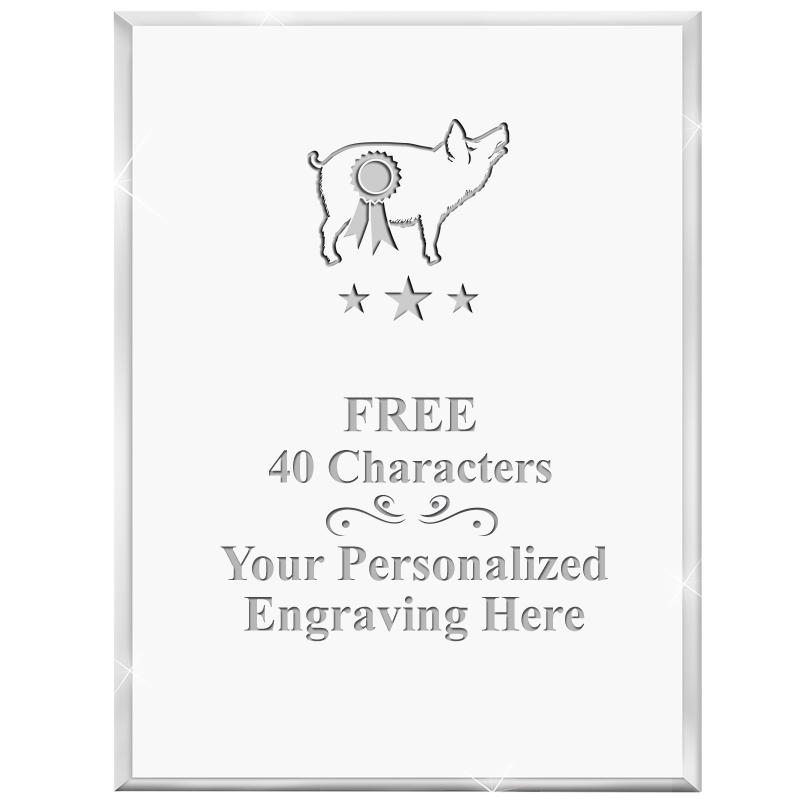 3" X 4" VERTICAL DISPLAY ACRYL