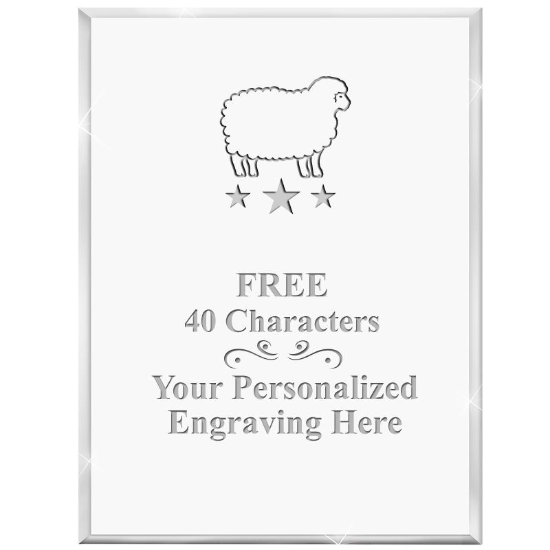 3" X 4" VERTICAL DISPLAY ACRYL