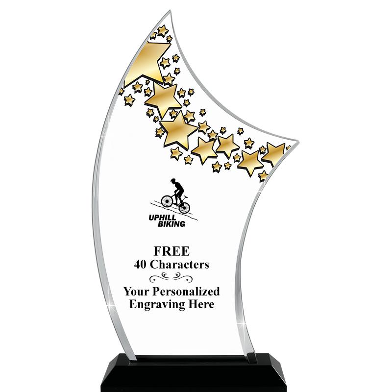 6"X11.25"PINNACLE STARRY SKYL