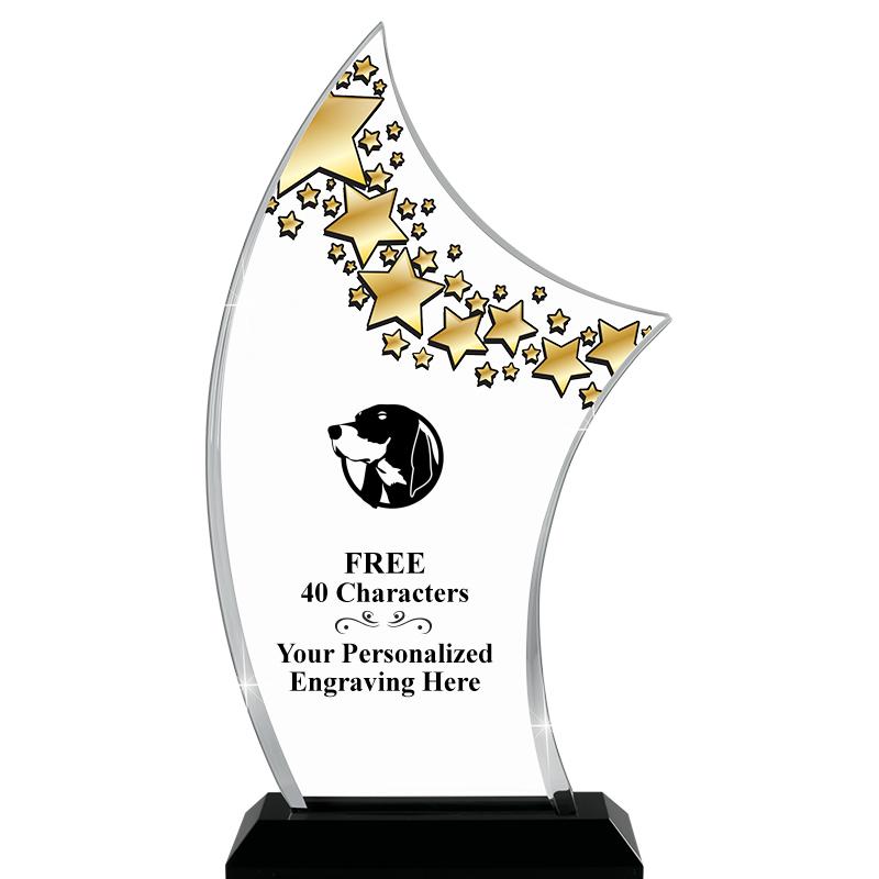 6"X11.25"PINNACLE STARRY SKYL