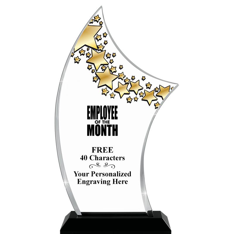 6"X11.25"PINNACLE STARRY SKYL