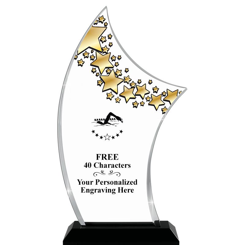 6"X11.25"PINNACLE STARRY SKYL