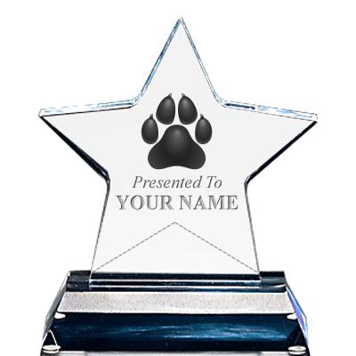 STANDING STAR ACRYLIC W/ BASE