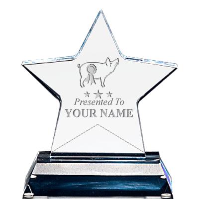 STANDING STAR ACRYLIC W/ BASE