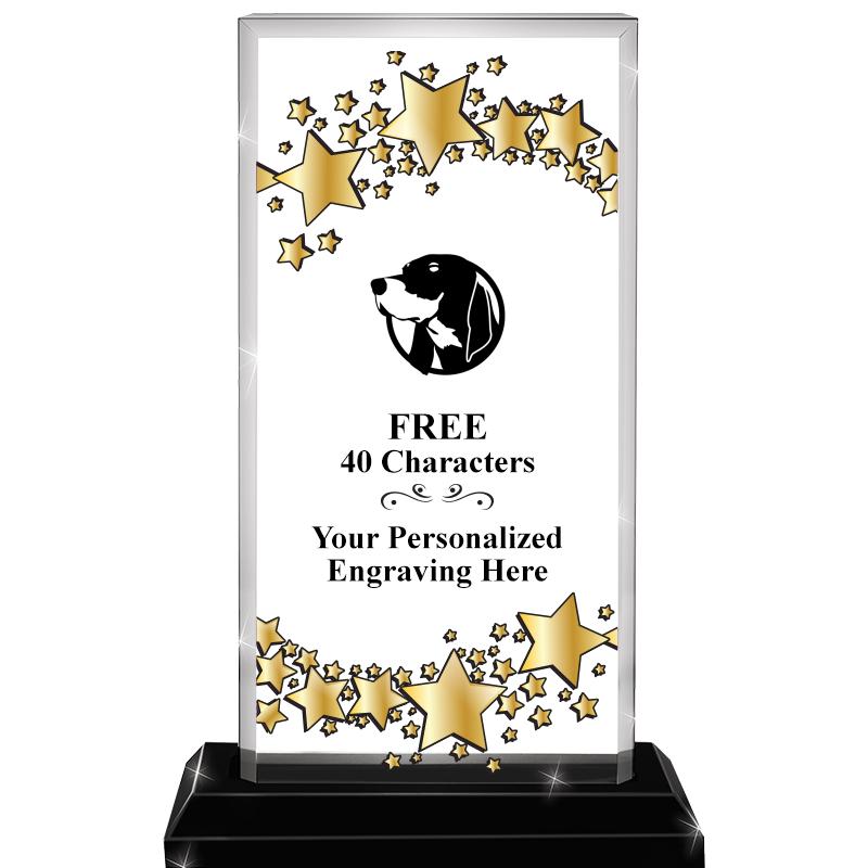 6.5x9.75 BILLBD STARRY SKYLINE