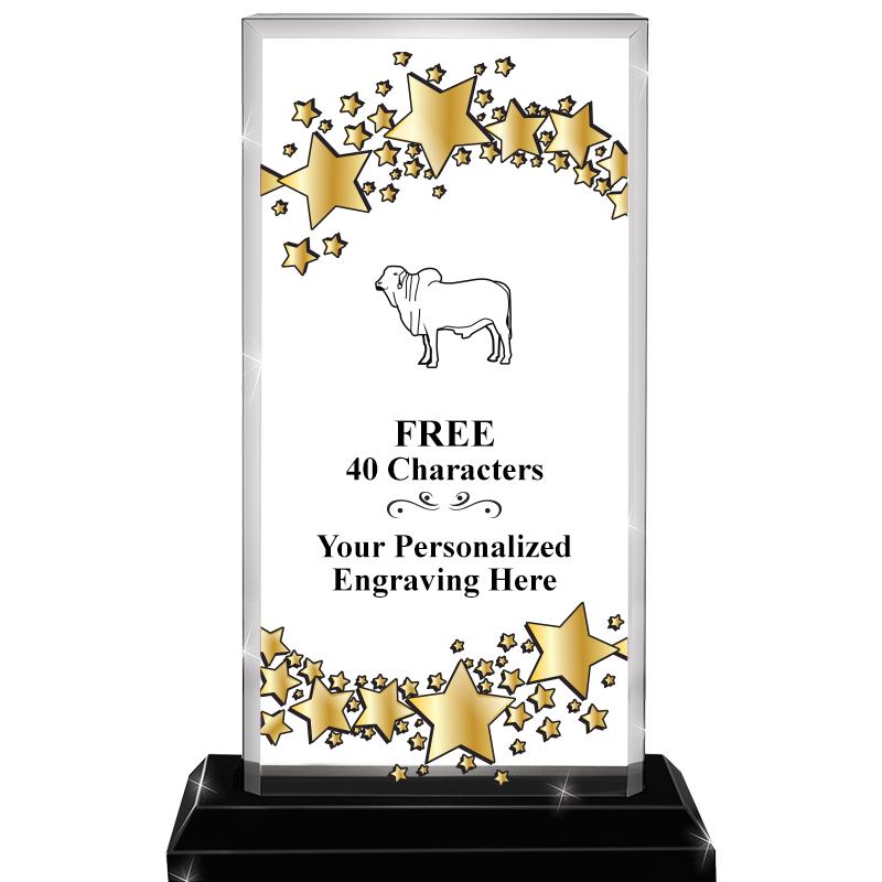 6.5x9.75 BILLBD STARRY SKYLINE