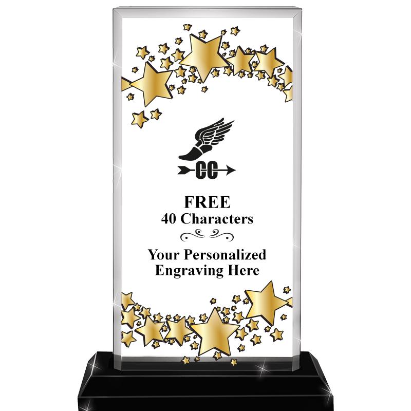 6.5x9.75 BILLBD STARRY SKYLINE