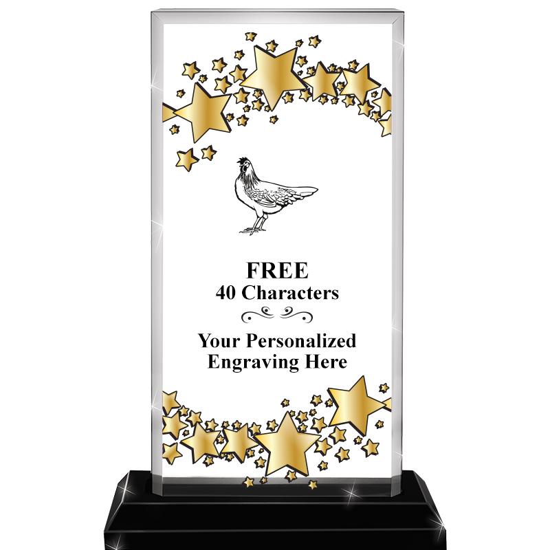 6.5x9.75 BILLBD STARRY SKYLINE