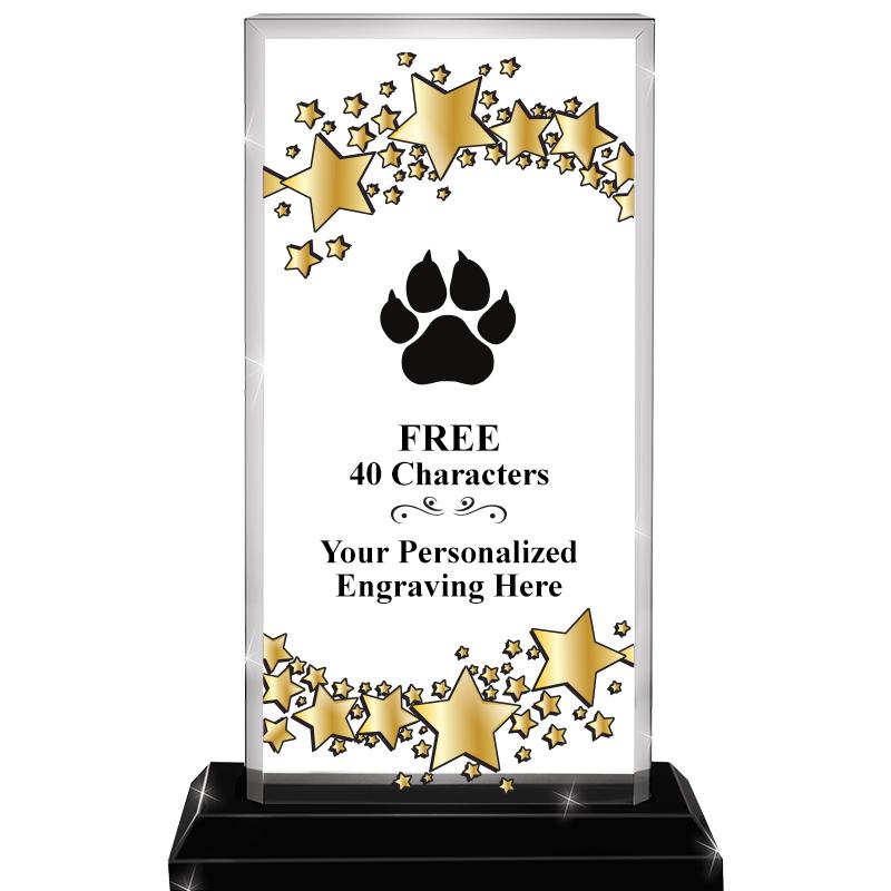 6.5x9.75 BILLBD STARRY SKYLINE