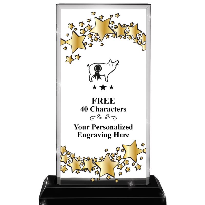 6.5x9.75 BILLBD STARRY SKYLINE