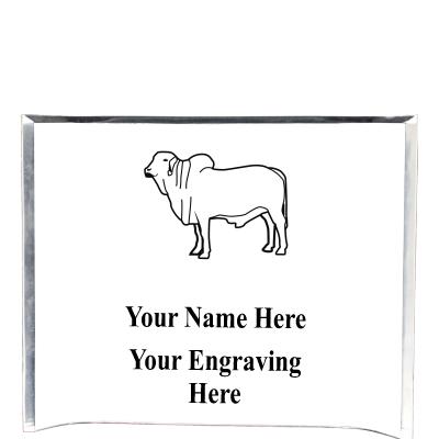 7"X5" YOUR LOGO CURVA ACRYLIC