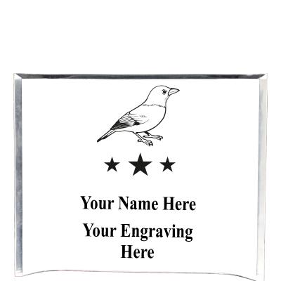 7"X5" YOUR LOGO CURVA ACRYLIC