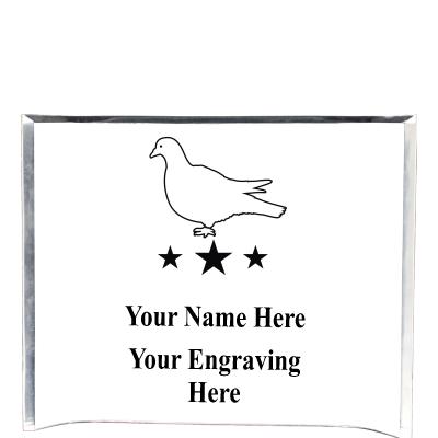 7"X5" YOUR LOGO CURVA ACRYLIC