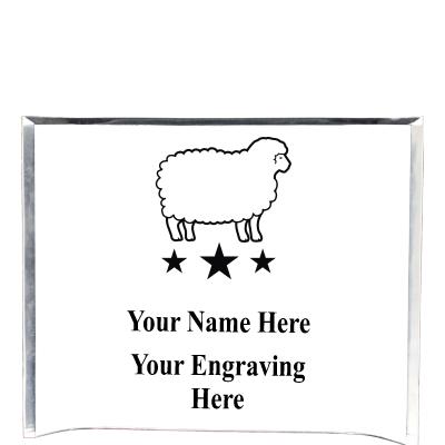 7"X5" YOUR LOGO CURVA ACRYLIC