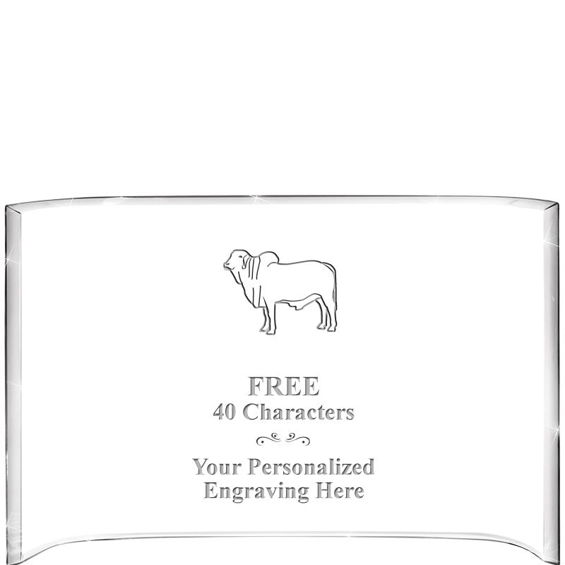 7 3/4"X 5" CURVA ACRYLIC