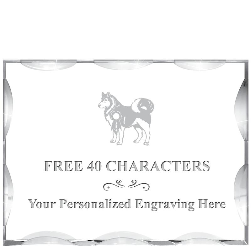 4"X3"HORIZONTAL ILLUSION ACRYL