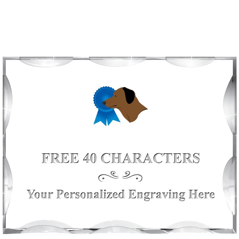 4"X3"HORIZONTAL ILLUSION ACRYL