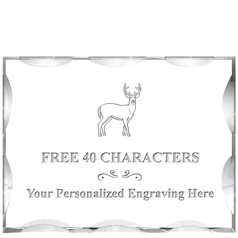 4"X3"HORIZONTAL ILLUSION ACRYL