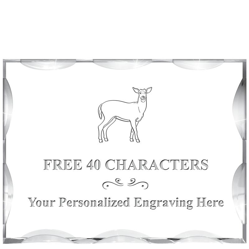 4"X3"HORIZONTAL ILLUSION ACRYL