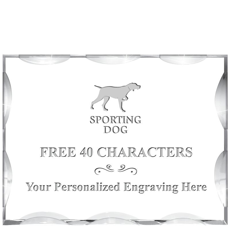 4"X3"HORIZONTAL ILLUSION ACRYL