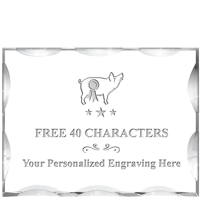 4"X3"HORIZONTAL ILLUSION ACRYL