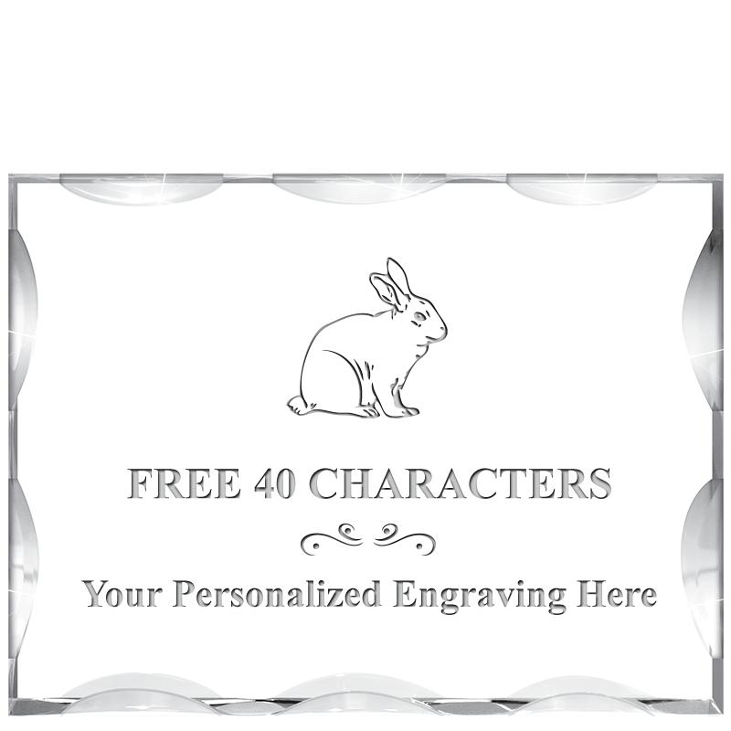 4"X3"HORIZONTAL ILLUSION ACRYL