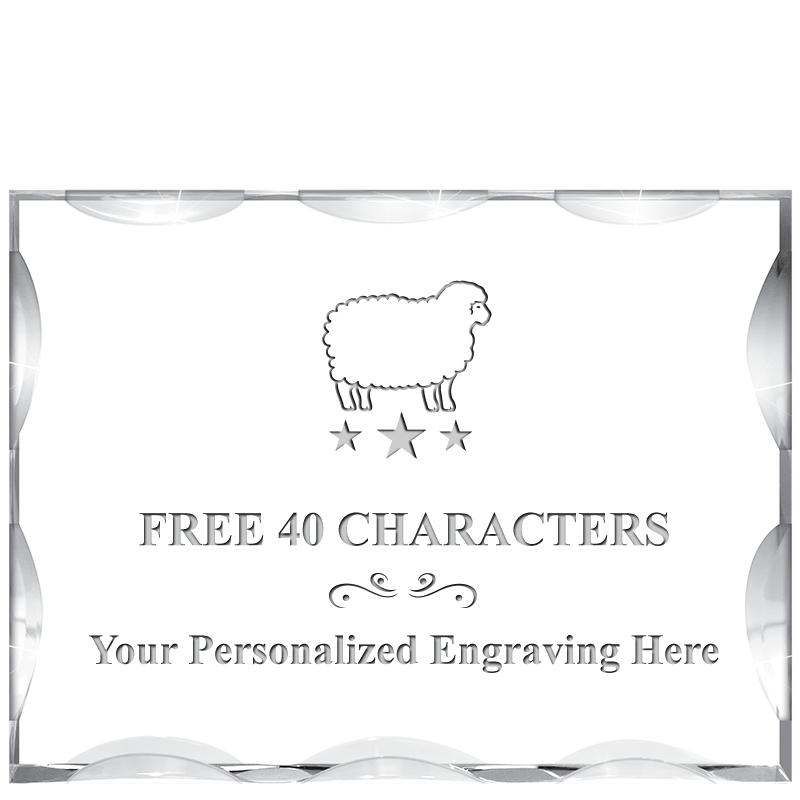 4"X3"HORIZONTAL ILLUSION ACRYL