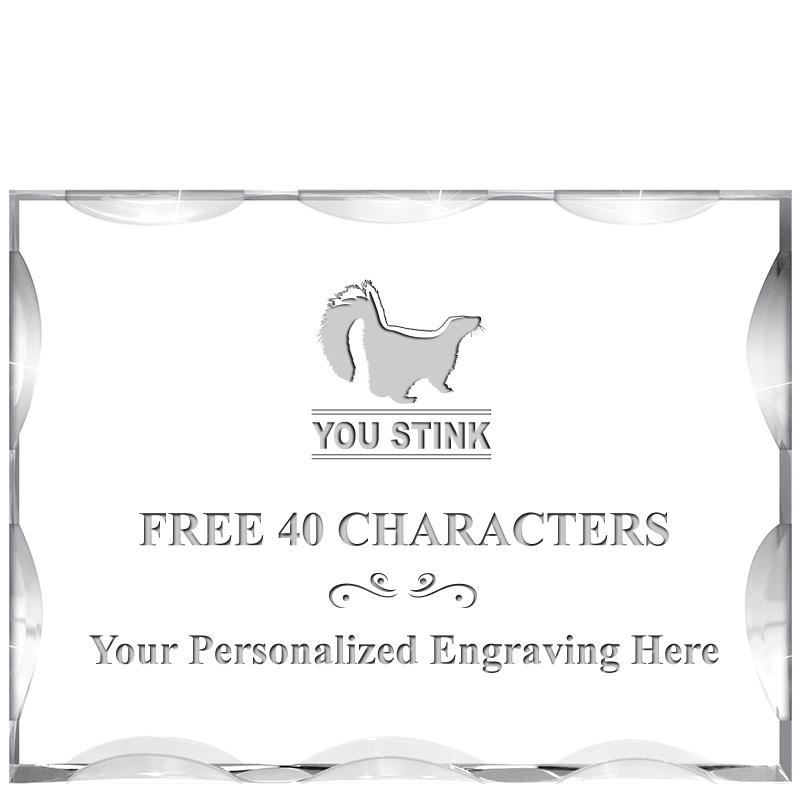 4"X3"HORIZONTAL ILLUSION ACRYL