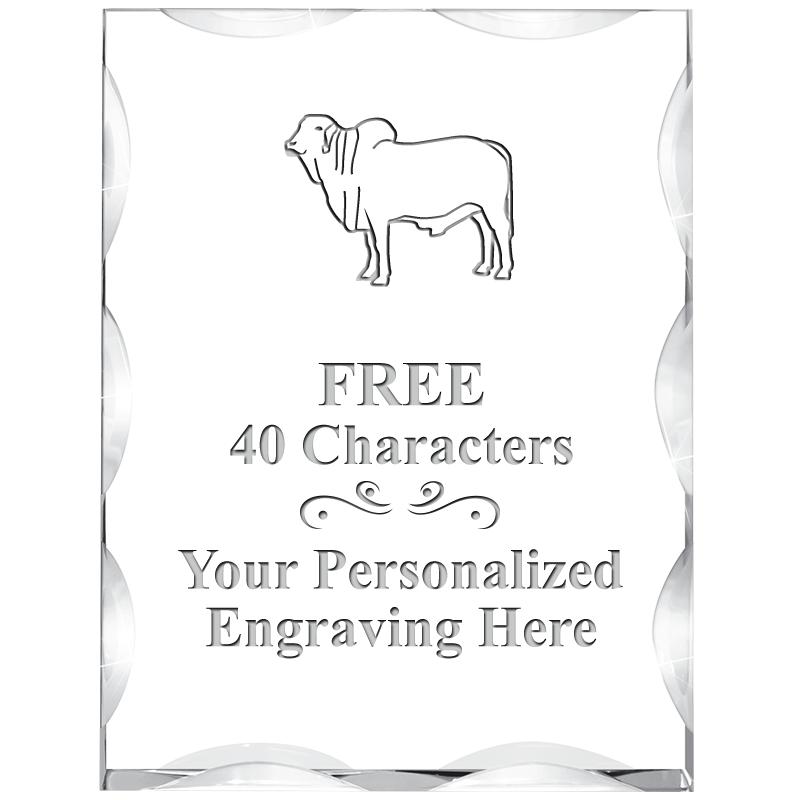 3"X4" VERTICAL ILLUSION ACRYLI