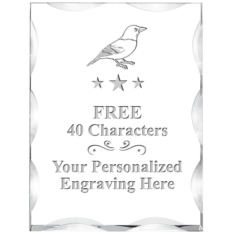 3"X4" VERTICAL ILLUSION ACRYLI