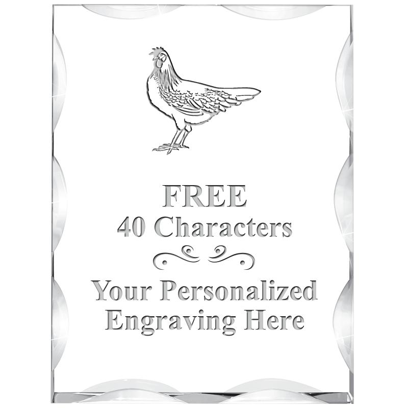 3"X4" VERTICAL ILLUSION ACRYLI