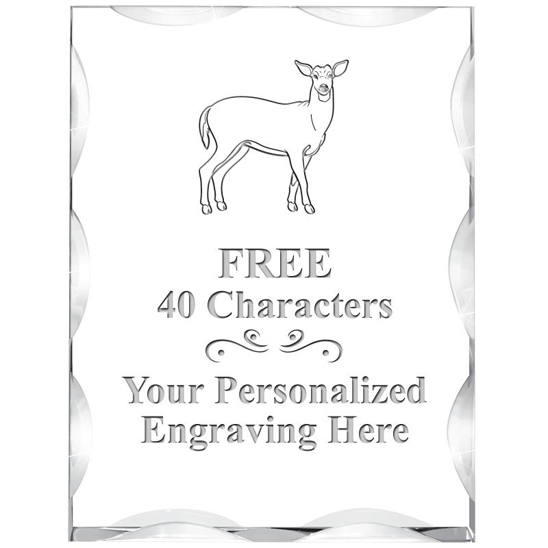 3"X4" VERTICAL ILLUSION ACRYLI