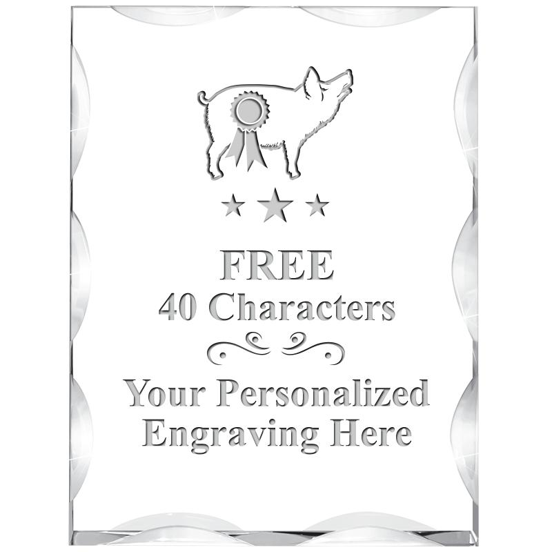 3"X4" VERTICAL ILLUSION ACRYLI