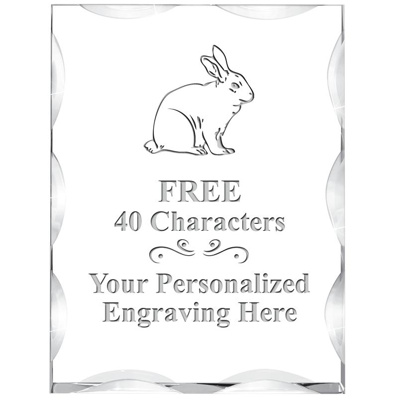 3"X4" VERTICAL ILLUSION ACRYLI