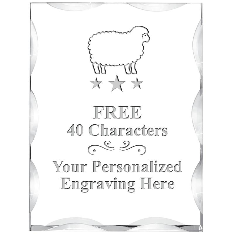 3"X4" VERTICAL ILLUSION ACRYLI