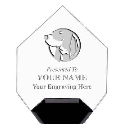 7" CREST DIAMOND ACRYLIC