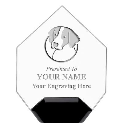 7" CREST DIAMOND ACRYLIC