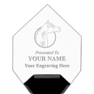 7" CREST DIAMOND ACRYLIC