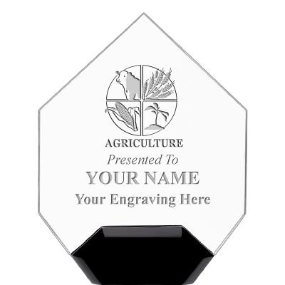 7" CREST DIAMOND ACRYLIC