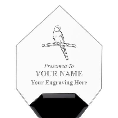 7" CREST DIAMOND ACRYLIC