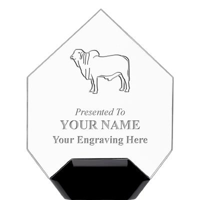 7" CREST DIAMOND ACRYLIC